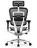 Крісло комп'ютерне Enrandnepr ERGOHUMAN ELITE 2 BLACK T-168-B1 Cітка, фото 4