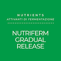 Дріжджове підживлення NUTRIFERM GRADUAL RELEASE kg 1