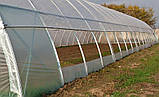 Теплиця "Західна-10х10" 10х10х4.5м + подвійна плівка 150 мкм+ зигзаг профіль, фото 5