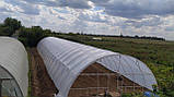 Теплиця "Західна-8х8" 8х8х3,5м + плівка 150 мкм+ зигзаг профіль, фото 4