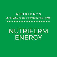 Дріжджова підживка NUTRIFERM ENERGY kg 10
