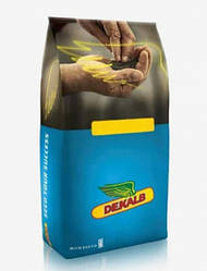 Насіння озимого ріпаку ДК Ексепшн DEKALB, (DK EXCEPTION) BAYER (класичний ріпак)