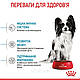 Royal Canin X-Small Puppy (Роял Канін Ікс Смол Паппі) сухий корм для цуценят дрібних порід, 0.5КГ, фото 7
