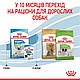 Royal Canin X-Small Puppy (Роял Канін Ікс Смол Паппі) сухий корм для цуценят дрібних порід, 0.5КГ, фото 8