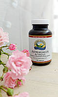 Астрагал Astragalus NSP