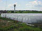 Теплиця "Західна-10х10" 10х10х4.5м + подвійна плівка 150 мкм+ зигзаг профіль, фото 2