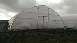 Теплиця "Західна-10х50" 10х50х4.5м + подвійна плівка 150 мкм+ зигзаг профіль, фото 9