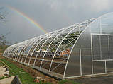 Теплиця "Західна-10х10" 10х10х4.5м + подвійна плівка 150 мкм+ зигзаг профіль, фото 3