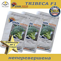 Капуста броколі Трібекка F1 (ТМ Spark Seeds), США, проф. пакет 1000 насінин