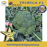 Капуста броколі Трібекка F1 (ТМ Spark Seeds), США, проф. пакет 1000 насінин, фото 4