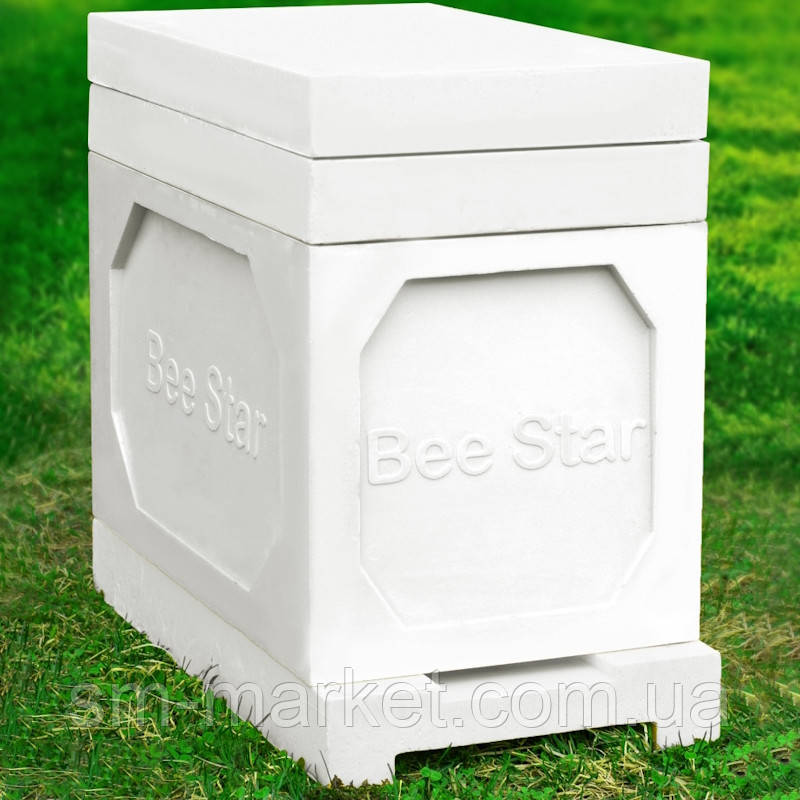 Вулик 6 рамковий з пінополіуретану, Корпус 300 мм (Дадан) білий BeeStar