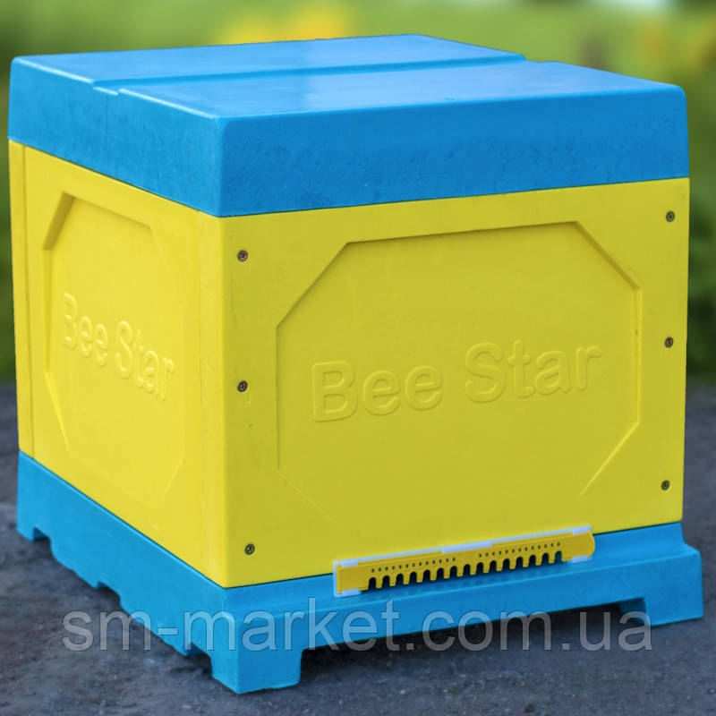 Вулик 10 рамковий з пінополіуретану, Корпус 300 мм (Дадан) кольоровий BeeStar