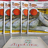 Лунга Пієна ді Наполі (10 г) насіння гарбуза Hortus, фото 2