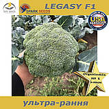 Капуста броколі Legasy F1 / Легасі F1   (ТМ Spark Seeds), США, проф. пакет 1000 насінин, фото 3