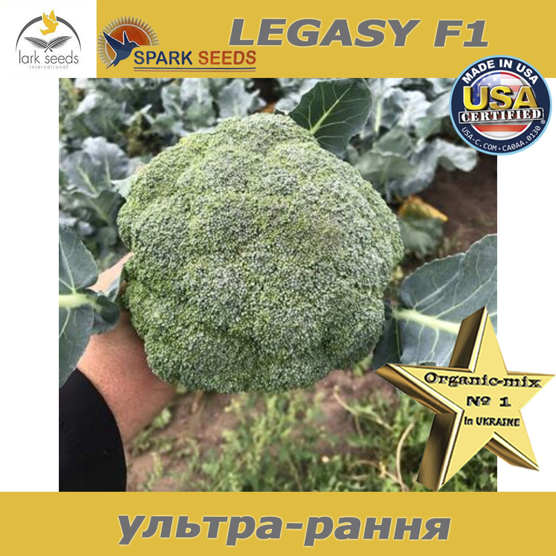 Капуста броколі Legasy F1 / Легасі F1 (ТМ Spark Seeds), США, проф. пакет 1000 насінин - фото 2 - id-p1887387826