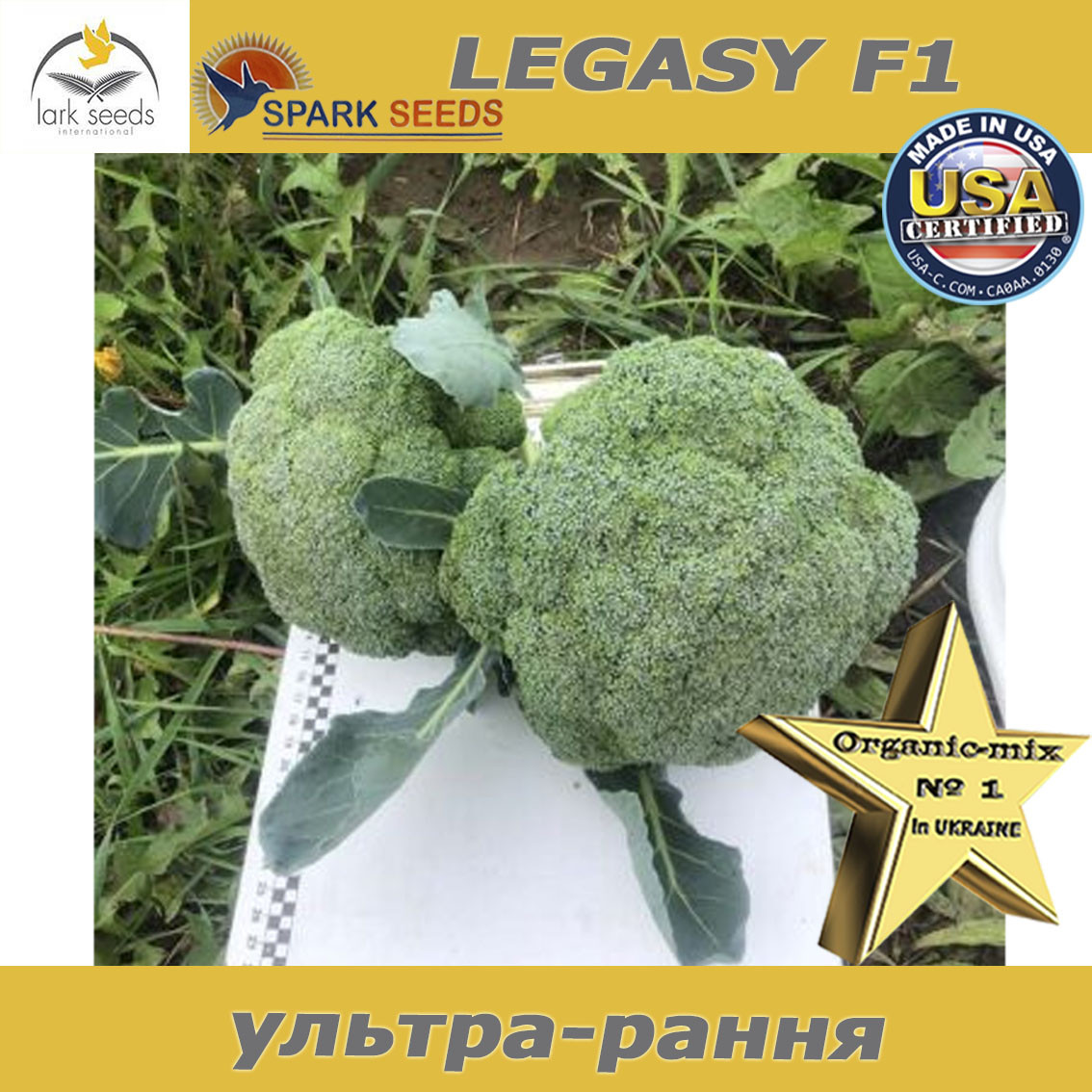 Капуста броколі Legasy F1 / Легасі F1 (ТМ Spark Seeds), США, проф. пакет 1000 насінин - фото 3 - id-p1887387826