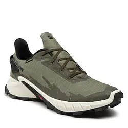 Чоловічі кросівки Salomon Alphacross 4 GTX Gore-Tex 417230 26 V0