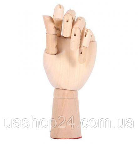 Деревянная рука манекен UASHOP 18см модель для держания товара для рисования правая UASHOP - фото 8 - id-p1887489905