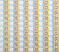 Неразрезанный лист из банкнот НБУ номиналом 1 грн 60 шт Коллекционные Листы банкнот Неразрезанные