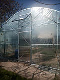 Теплиця "Західна-6х30" 6х30х3м з подвійною плівкою 150 мкм + зигзаг профіль, фото 2