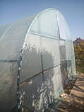 Теплиця "Західна-6х30" 6х30х3м з подвійною плівкою 150 мкм + зигзаг профіль, фото 5