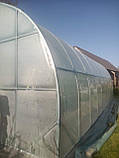 Теплиця "Західна-6х30" 6х30х3м з подвійною плівкою 150 мкм + зигзаг профіль, фото 4