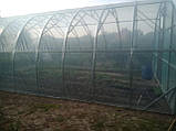 Теплиця "Західна-6х30" 6х30х3м з подвійною плівкою 150 мкм + зигзаг профіль, фото 9