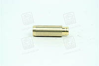 Направляюча клапана IN/EX VAG ADR/AEB/AGA/ACK/BLG/ATN 6mm (вир-во Metelli) 01-2488 Ukr
