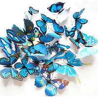 Бабочки на магните голубые - в наборе 12шт., пластик (так же в набор входит 2-х сторонний скотч)