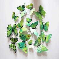 Зеленые бабочки на магните - в наборе 12шт. разных размеров, пластик, в набор так же входит скотч