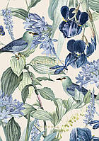 Блокнот для ескізів А5, 64 аркуша, 120 г, кремовий блок, інтегральна обкладинка, Школярик A5-3C-064-369