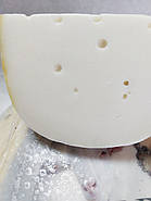 Голландський сир 😍 "Landana" Mild 280 гр. Голландія, фото 6