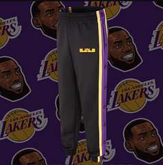 Спортивні штани Лейкерс Леброн Джеймс Lakers чоловічі тренувальні баскетбольні розминкові на кнопках Чорний 2