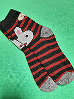 Детские носки в полоску с принтом - по стельке 16-19см