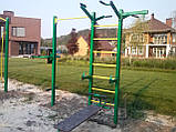 Універсальний вуличний тренажер SiverSport SL-202, фото 5