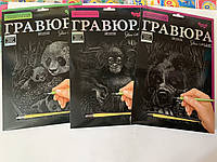 Комплект Гравюра A4 Danko Toys 3шт