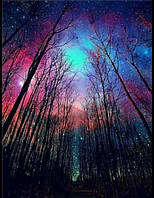 Атмосферная алмазная мозаика/вышивка 30х40"Ночь в лесу"