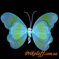 Крылья Бабочки, голубые, крила метелика здорові