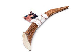 Ріг лося твердий L Твердые 20 см