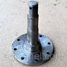 Вісь диска борони АГ-2.4 2.1.02-01, фото 1