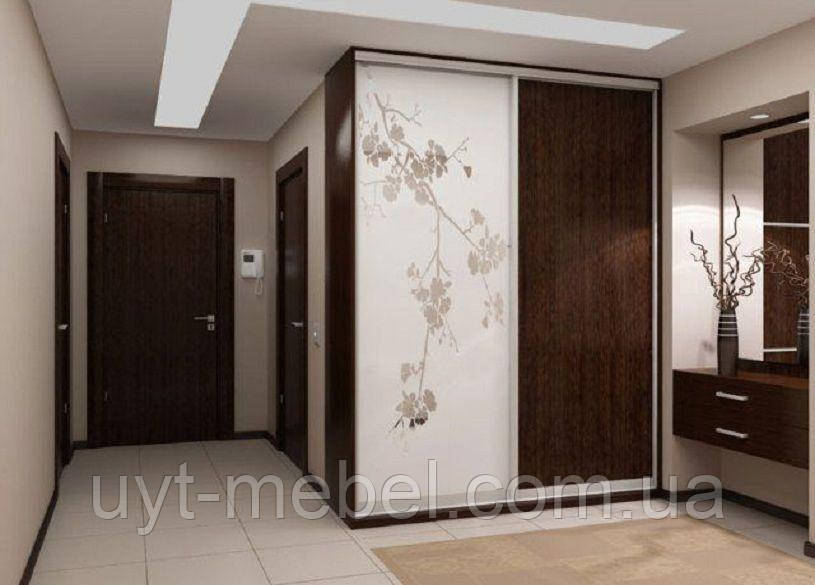 Шафа-купе 2 двері Максі (ос. 240/глуб. 60 см) Алекса Меблі