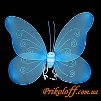 Крылья бабочки, большие голубые, крила метелика