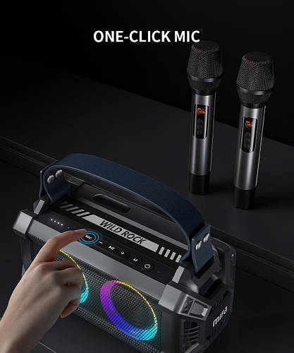 Купить Колонка Mifa WildRock Караоке black 60 Вт Bluetooth 5.0, цена ...