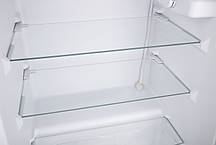 Міні холодильник ARDESTO DFM-90X — 84 л, морозильна камера 9 л, клас A+, сріблястий, фото 5