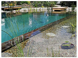 Натуральний басейн із природним очищенням води.
