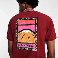 The North Face Faces back print mountain Tanzania NF00CEQ8 Футболка оригинал мужская