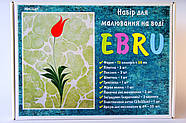ЕБРУ - набір для малювання на воді - 12 пігментів, інструменти, лоток, загущувач, фото 2