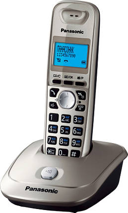 Радіотелефон DECT Panasonic KX-TG2511UAN Platinum, фото 1