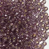 Бисер Чешский Preciosa блестящий фиолетовый с квадратной серединкой 10г 10/0 27010