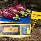 CRX 50141 F1 10 шт насіння баклажану Cora Seeds Італія, фото 3